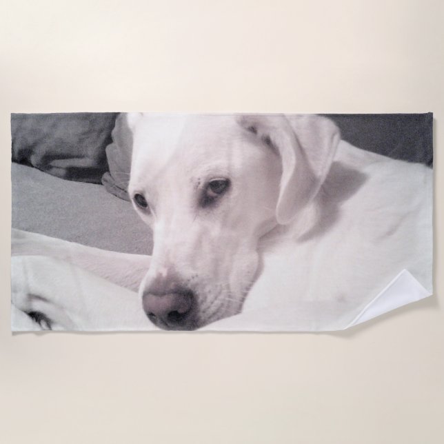 Serviette De Plage Belle Grand Chien Blanc Face Gris Plage (Devant)