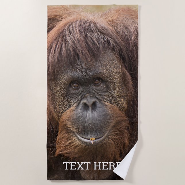 Serviette De Plage Belle photographie de Borneo Orangutan (Devant)