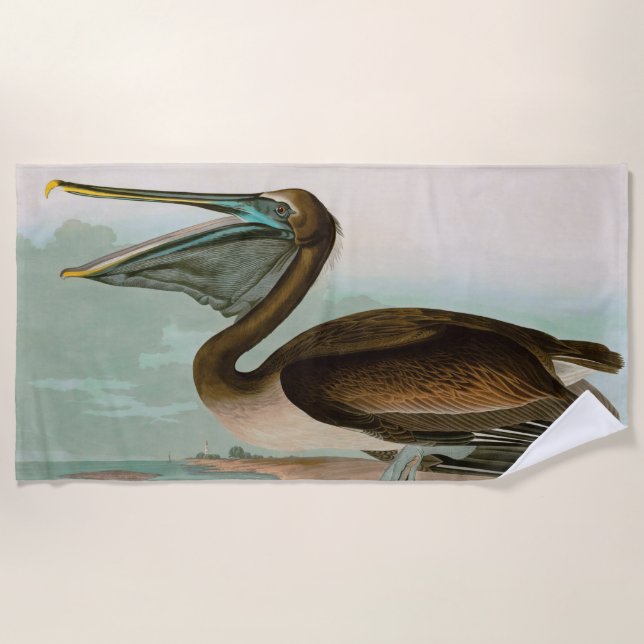 Serviette De Plage Brown Pelican Birds of America Audubon (Devant)