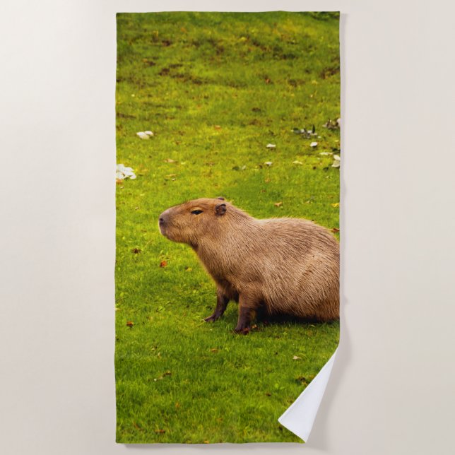 Serviette De Plage Capybara (Devant)