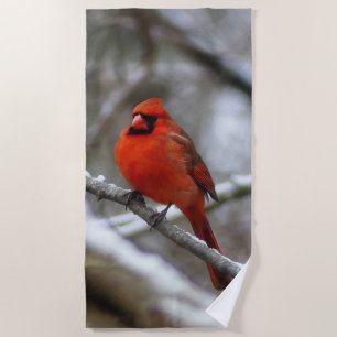 Serviette De Plage Cardinal masculin