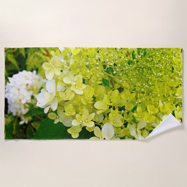 Serviette De Plage Chartreuse Vert, Hydrangea Limelight, (Devant)