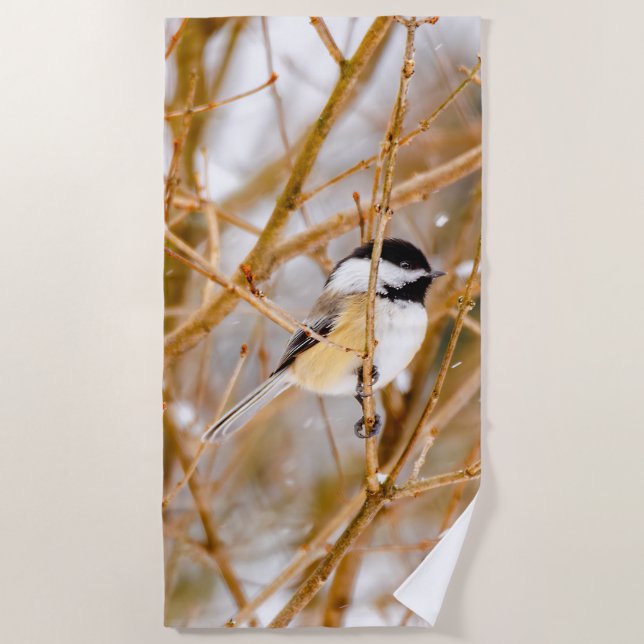 Serviette De Plage Chickadee au plafond noir - Photo originale (Devant)