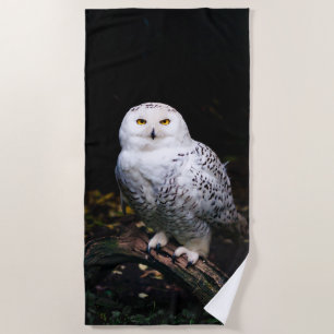 Serviette De Plage Chouette hivernale majestueuse