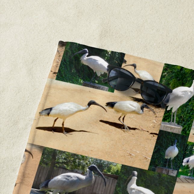 Serviette De Plage Chroniques de la poule à ordures : Un collage de p (En situation)