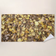 Collection Feuilles jaunes d'automne