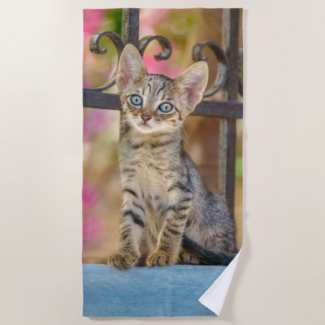 Serviette De Plage Cute Young Tabby Kitten aux yeux bleus dans un jar (Devant)