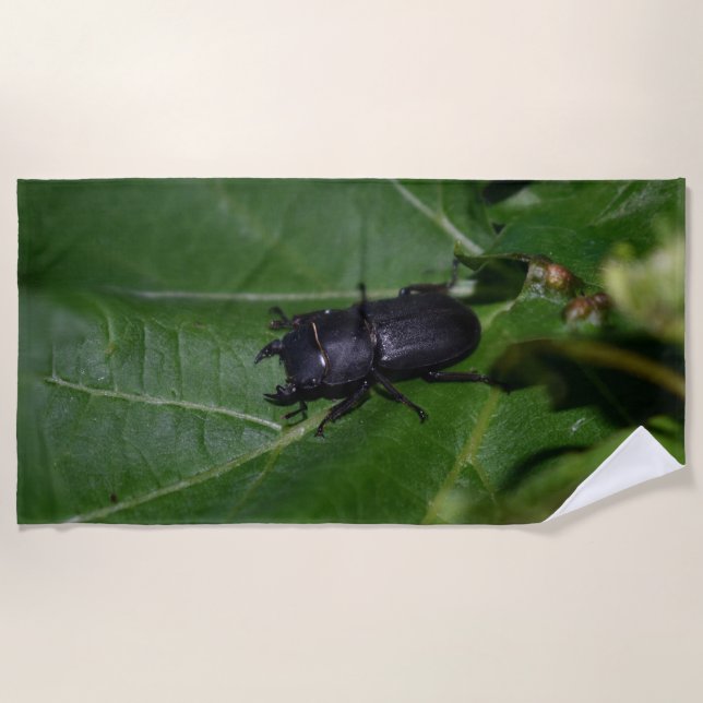 Serviette De Plage Dorcus parallelipipedus, le moindre dendroctone du (Devant)
