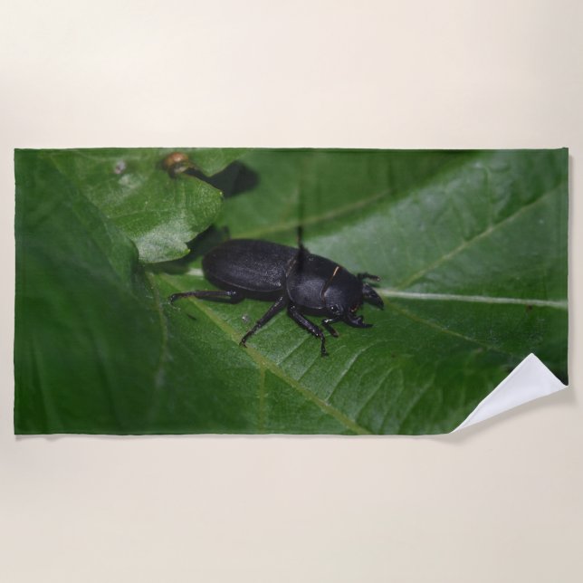 Serviette De Plage Dorcus parallelipipedus, le moindre dendroctone du (Devant)