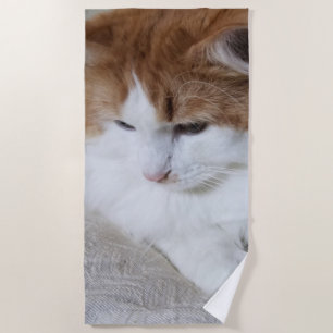 Serviette De Plage (Feline Fancy) Contemplation Kitty : Photo Cat