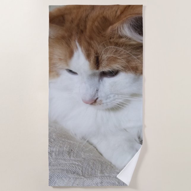 Serviette De Plage (Feline Fancy) Contemplation Kitty : Photo Cat (Devant)