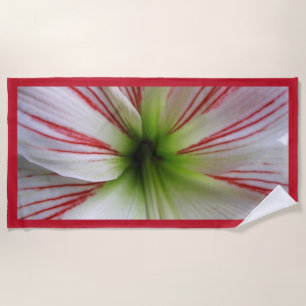 Serviette De Plage Fin botanique vers le haut de fleur d'amaryllis de