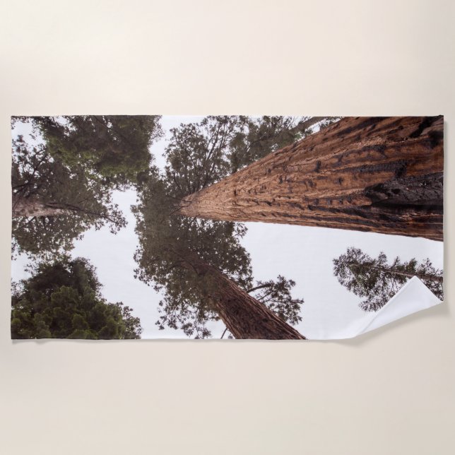 Serviette De Plage forêt, arbre (Devant)