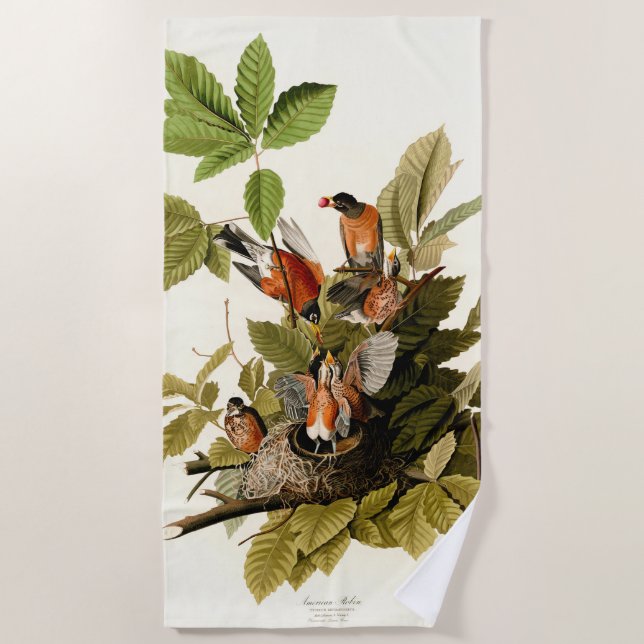 Serviette De Plage Illustration Audubon American Robin Wildlife Bird (Devant)