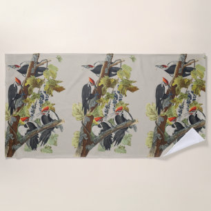 Serviette De Plage Illustration vintage de Pic à tête rouge d'Audubon