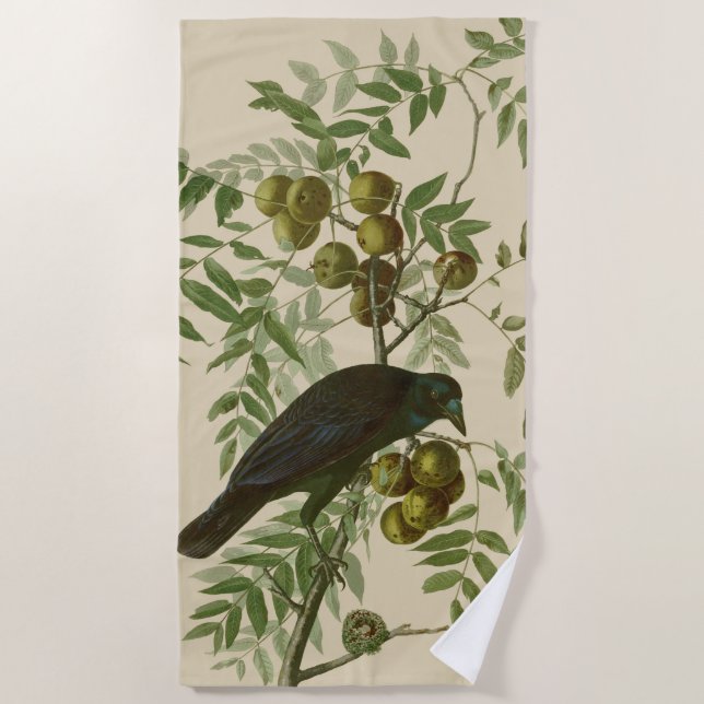 Serviette De Plage Impression d'oiseau Grackle violet d'Audubon Botan (Devant)