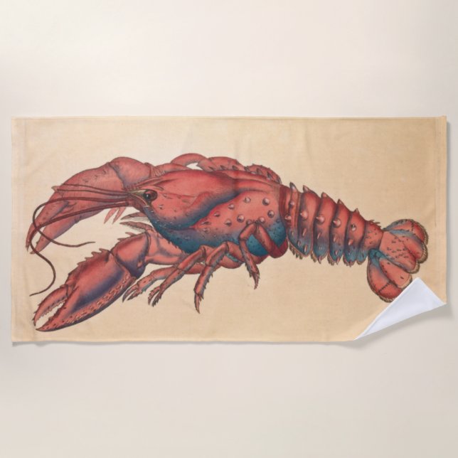Serviette De Plage James Sowerby Homard serbé (Devant)