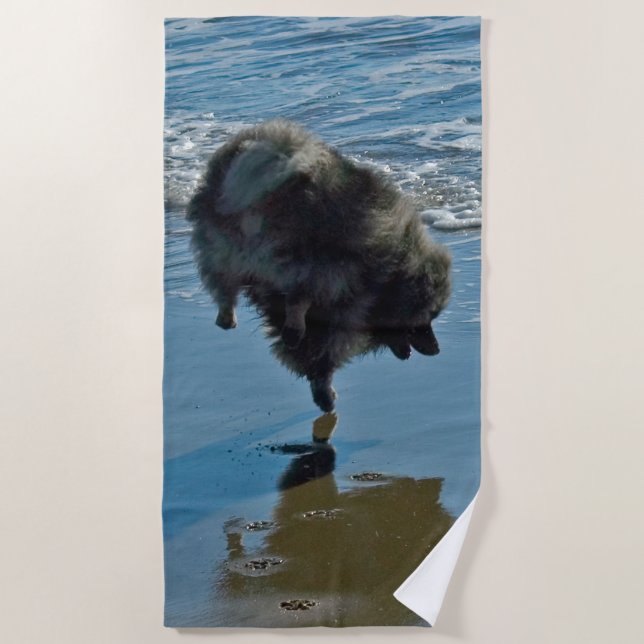 Serviette De Plage Keeshond Ballet Photographie - Joli chien d'origin (Devant)