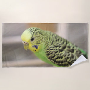 Serviette De Plage Kiwi