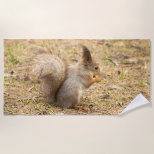 Serviette De Plage L'écureuil mignon mange une photo de noix