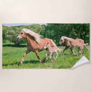 Serviette De Plage Les chevaux de Haflinger avec les poulains mignons