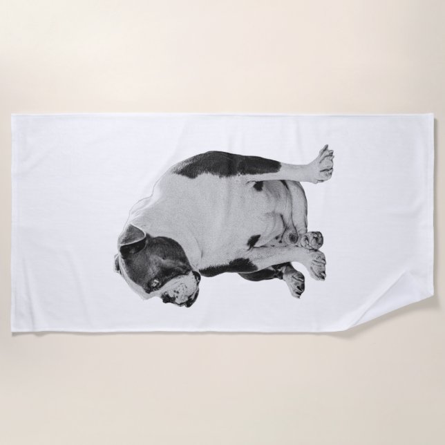 Serviette De Plage Lodge Pool Companion (Devant)