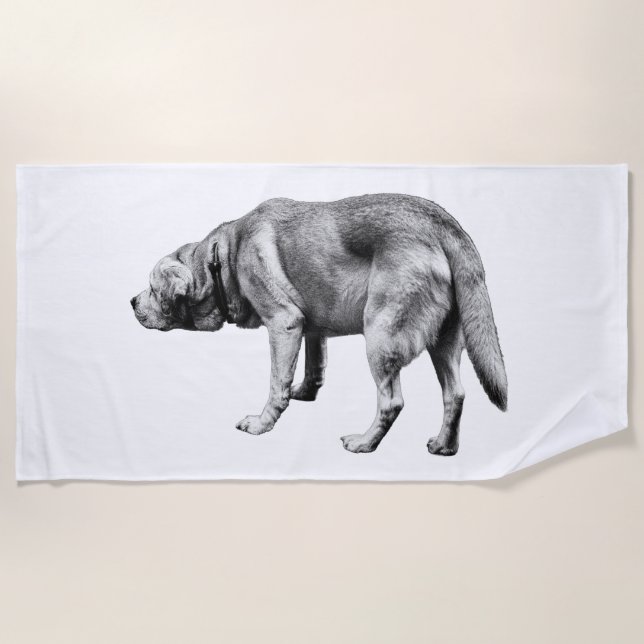 Serviette De Plage Longue bande, ciel ouvert (Devant)