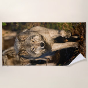 Serviette De Plage Loups de bois de l'Est