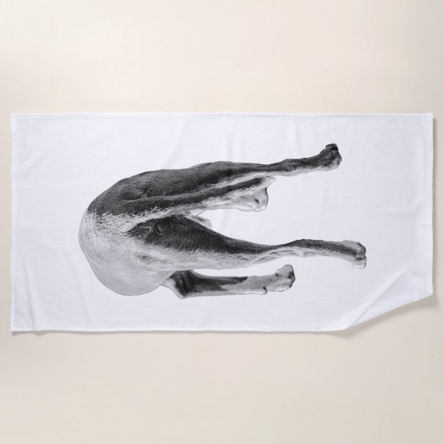 Serviette De Plage Mouvement en monochrome (Devant)