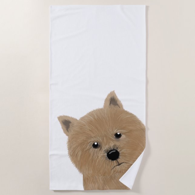 Serviette De Plage Norwich Terrier Beach Towel (Devant)