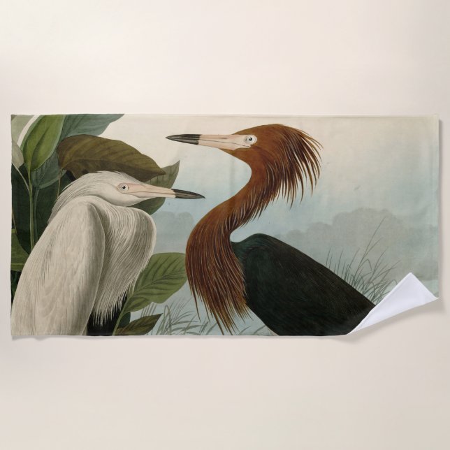 Serviette De Plage Peinture de la faune d'Audubon Heron violet (Devant)