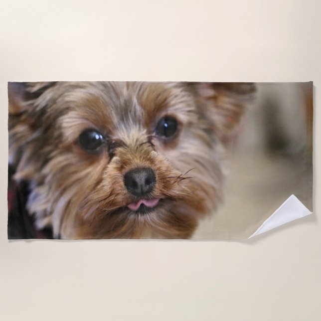 Serviette De Plage Pfft (Devant)