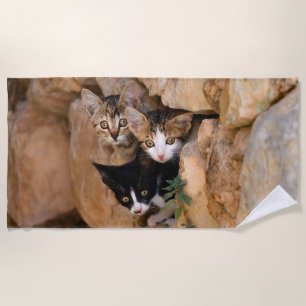 Serviette De Plage Photo drôle de trois de chat visages curieux