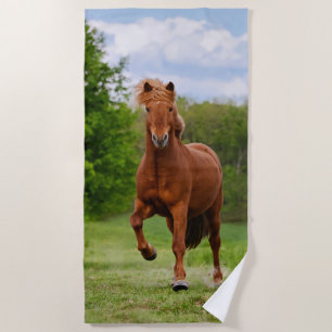 Serviette De Plage Poney islandais aux amants drôles d'un cheval de