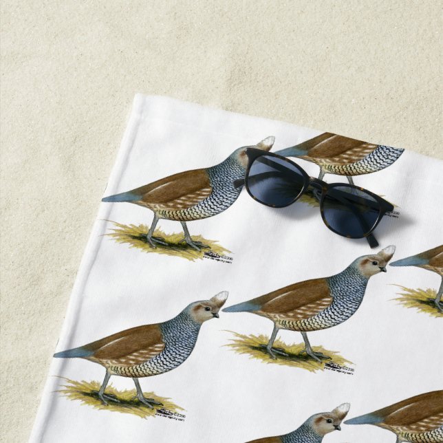 Serviette De Plage Quail à échelle (En situation)