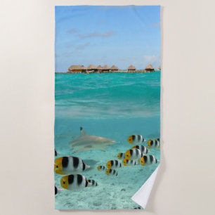 Serviette De Plage Requin chassant des poissons dans la lagune