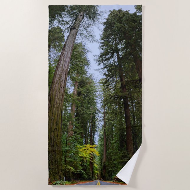 Serviette De Plage Route directe à travers la forêt de séquoias (Devant)