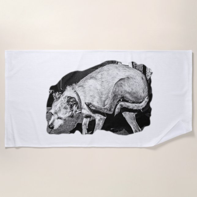 Serviette De Plage Scratères Sun et Terrier (Devant)