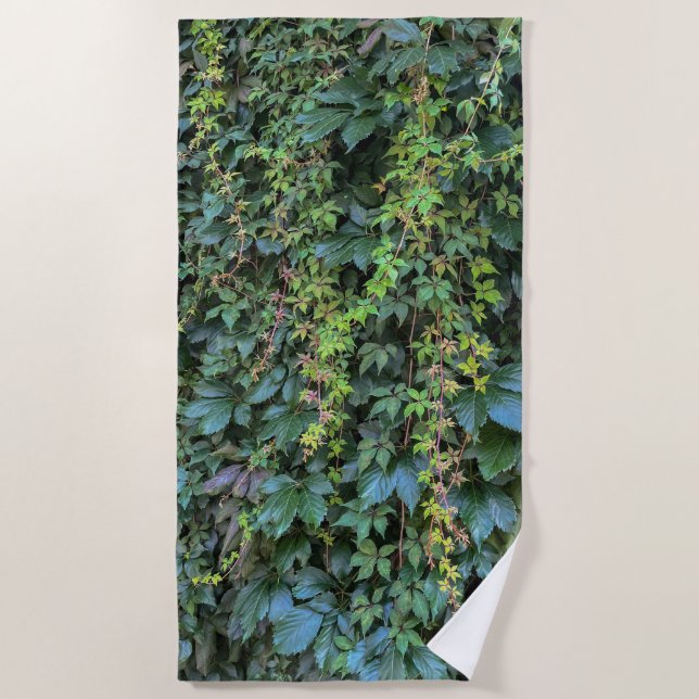 Serviette De Plage Serene Green Ivy Wall Suspendre Vins Plantes Feuil (Devant)