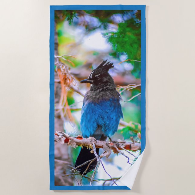 Serviette De Plage Steller's Jay - Photographie originale (Devant)