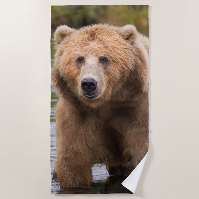 Serviette De Plage Superbe ours brun kodiak (Devant)