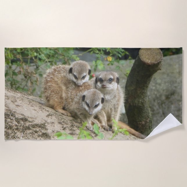 Serviette de plage trois mignonnes Meerkat (Devant)