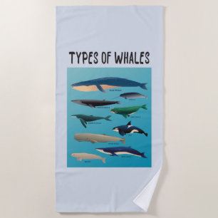 Serviette De Plage Types De Baleines Variété Mammifère Océanique