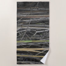 une évasion boisée