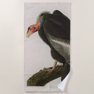 Serviette De Plage Vautour de Californie Oiseaux d'Amérique Audubon I
