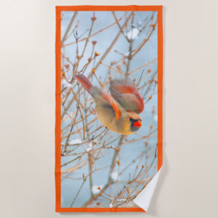 Serviette De Plage Vol Cardinal Nord - Photo originale