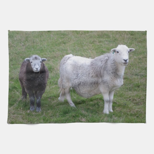Serviette de thé de brebis et d'agneau de Herdwick (Horizontal)