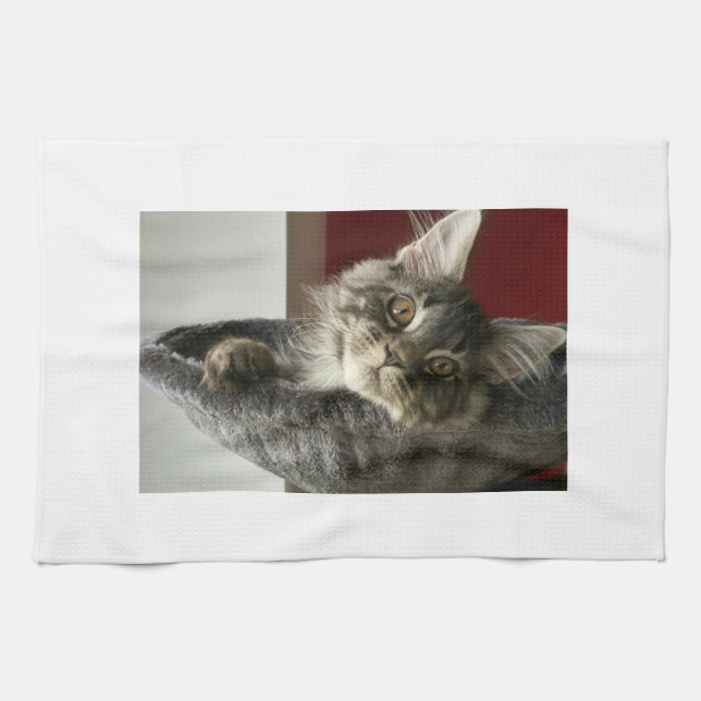 Serviette de thé de chaton de ragondin du Maine (Horizontal)