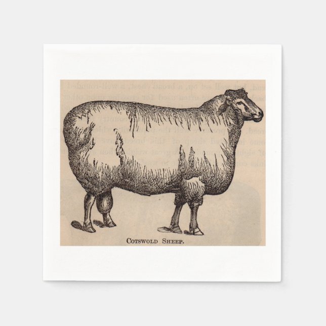 Serviette En Papier 19e century print cotswold sheep (Devant)