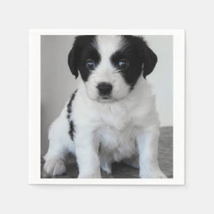 Serviette En Papier adorable Chiot noir et blanc